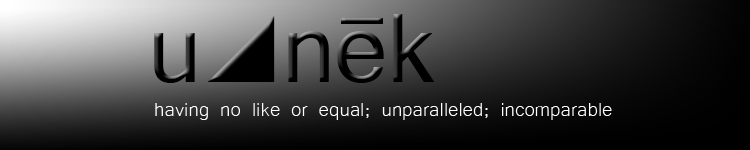 Unek Web Design